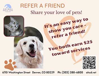 Ahcd-refer-promo.jpg