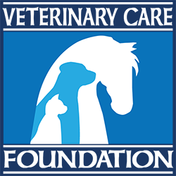 Vcf-logo.png